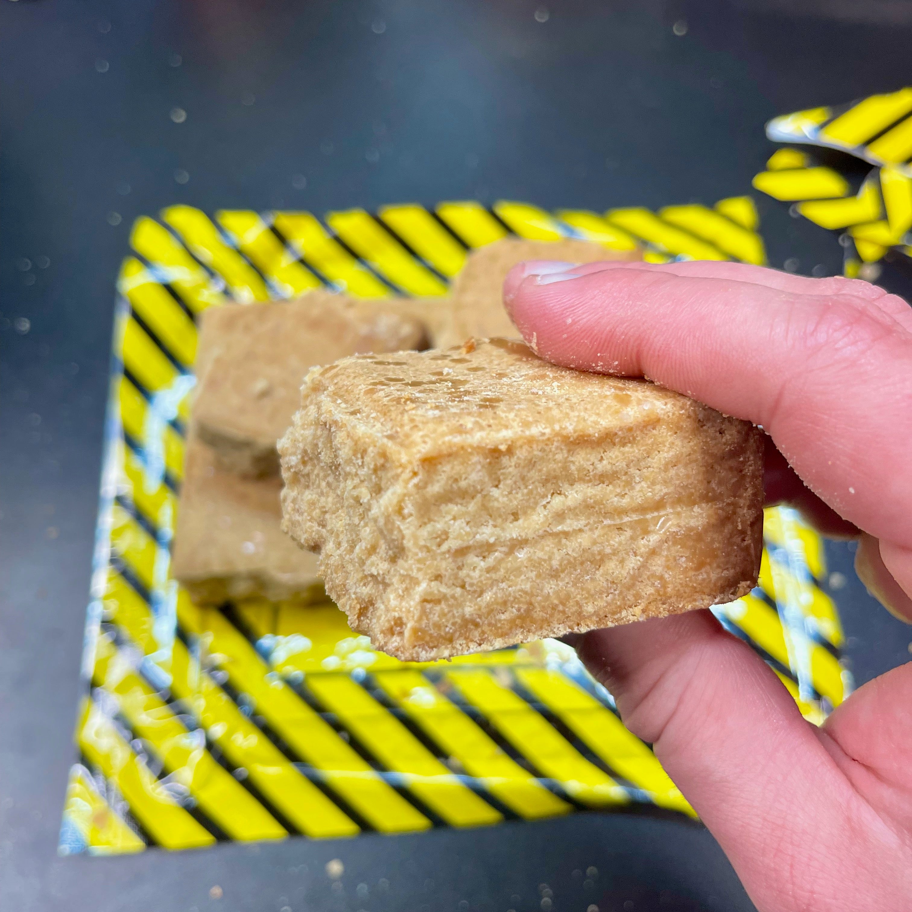 Mayday 6-Day Survival Food Supply: High-Energy Emergency Ration Bars